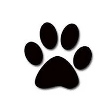 paw.jpg