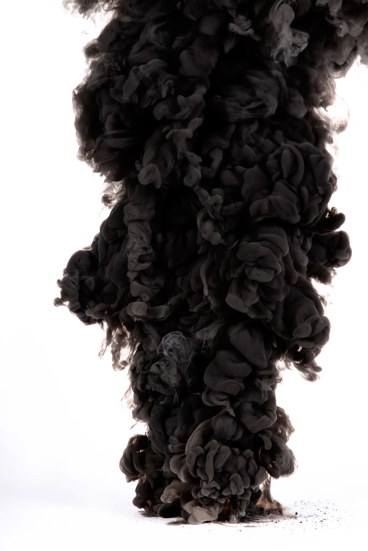 CONTROLLED_BURN_03_1800.jpg