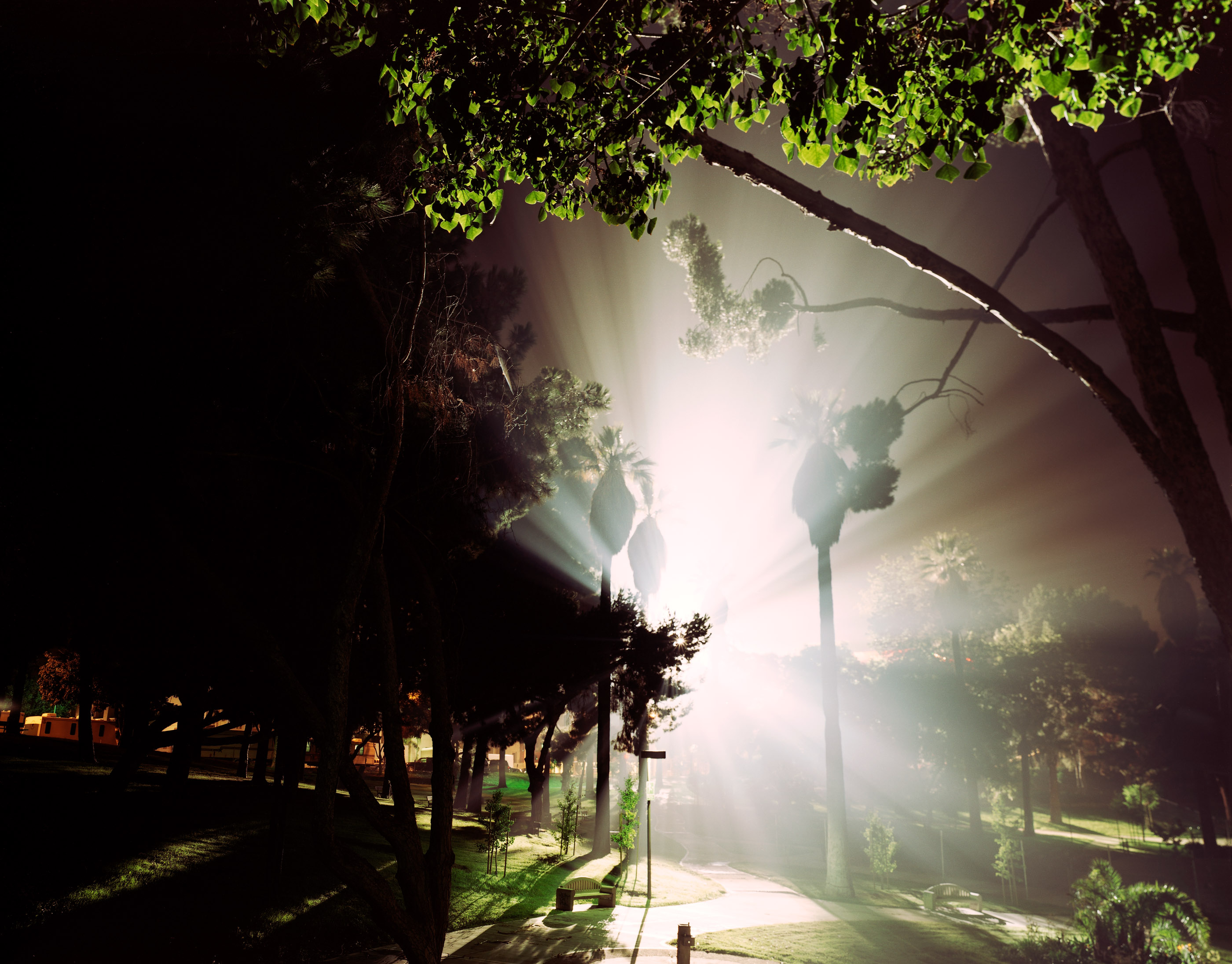 Night_for_Night010.jpg