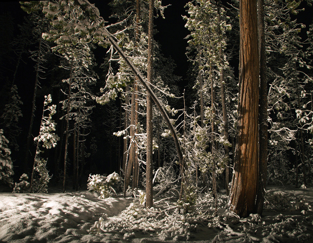 KCOOLEY_TAKE_REFUGE_10.jpg
