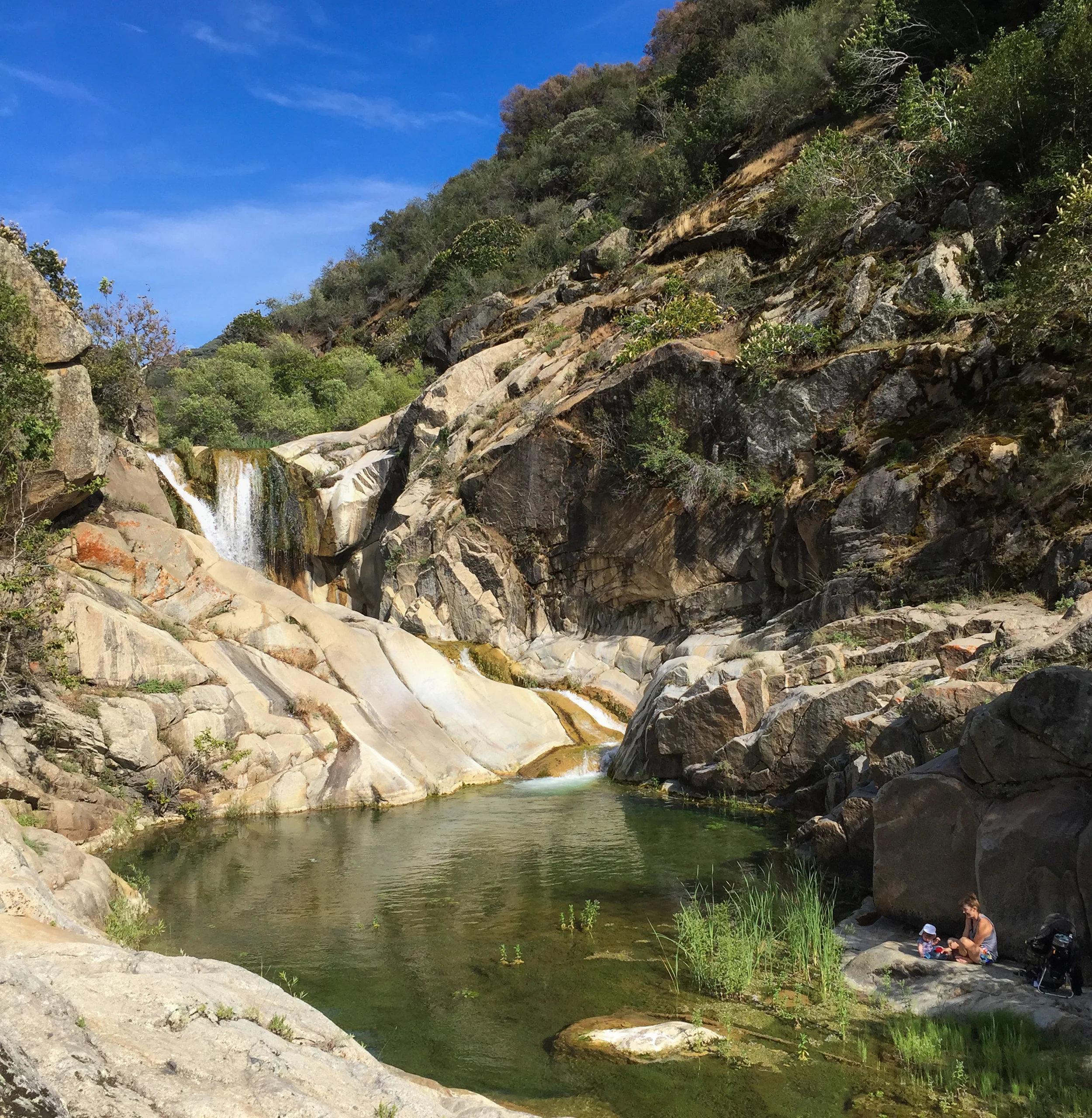KCOOLEY-COPI-TULE_RIVER.jpg