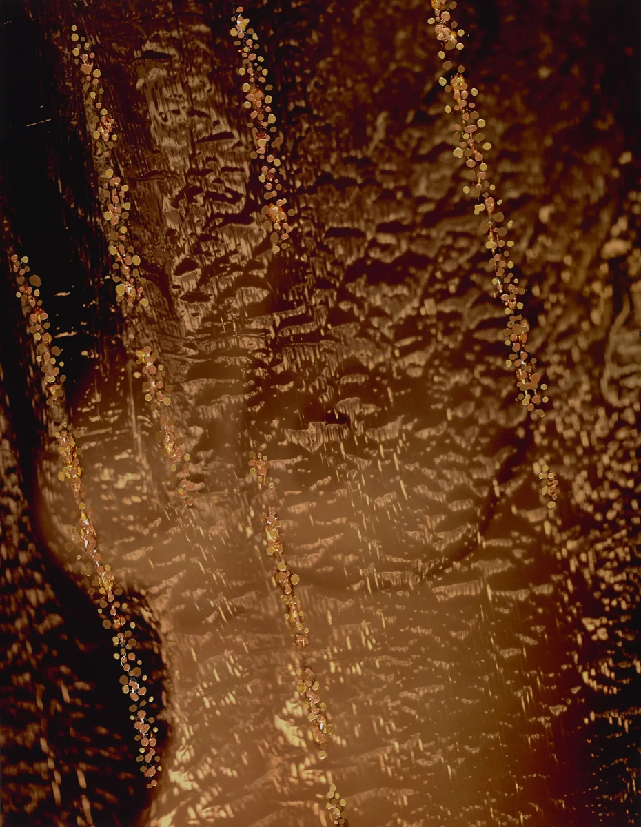 WILDFIRE