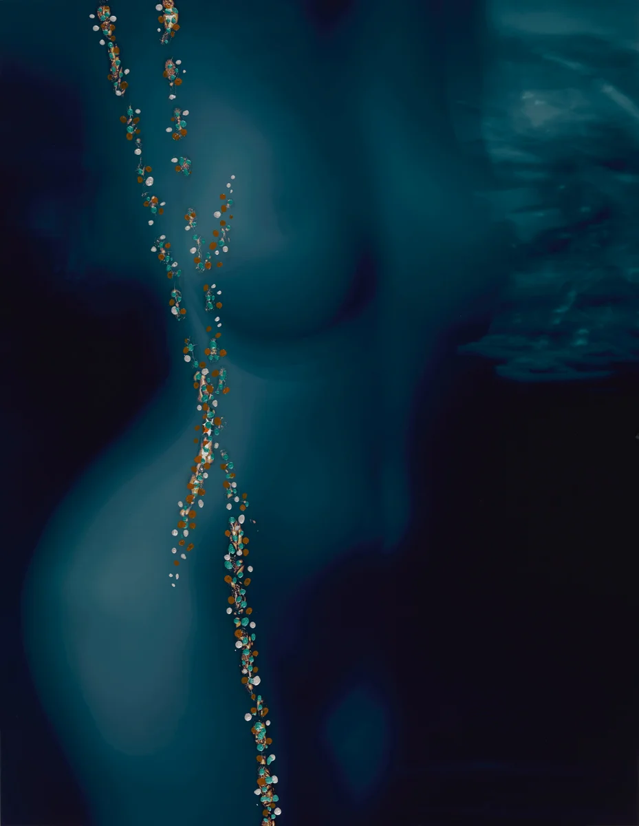 Shadow of love, 2016