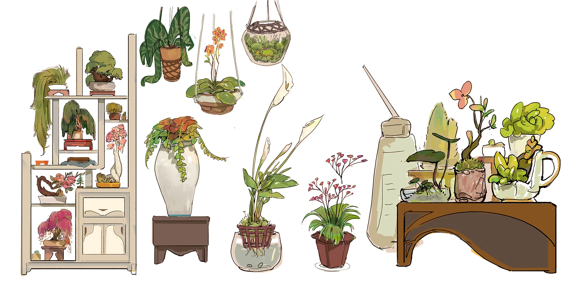 plant.jpg