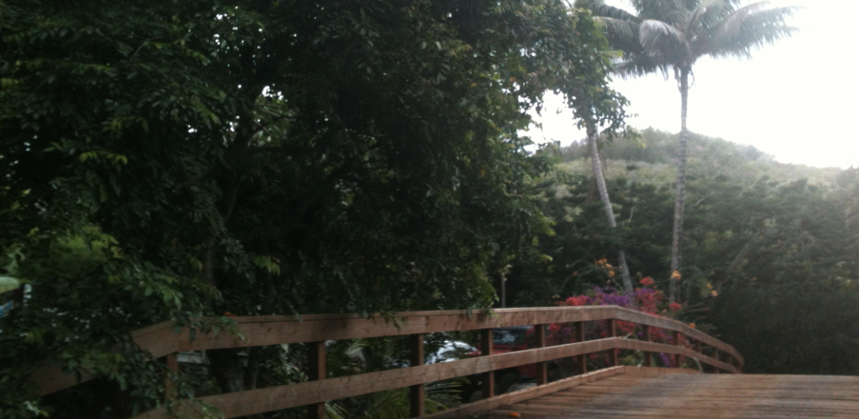 Notes From Kauai!
