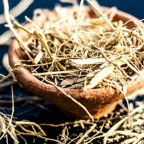 The Grounding Powers of Vetiver