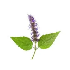 Uplift your Energy with Patchouli