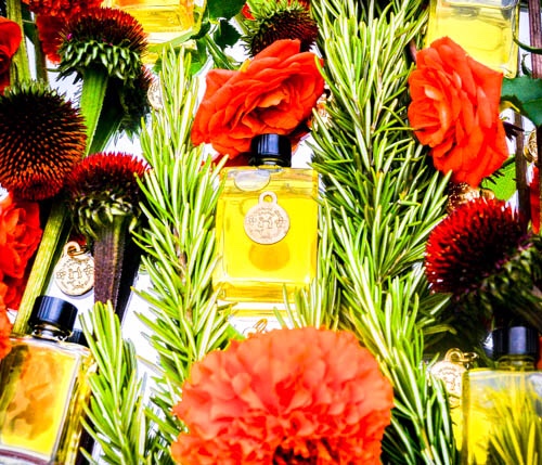 En Soie Perfume Collaboration