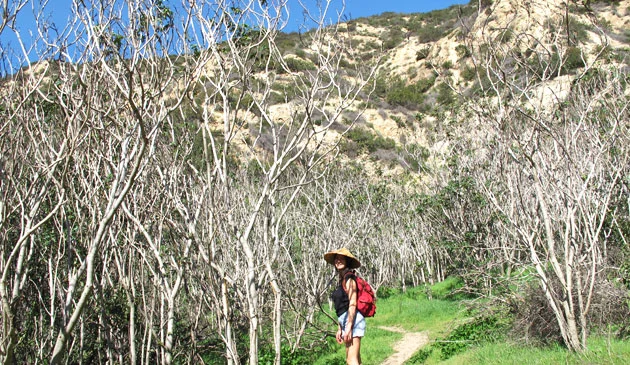 The lovely Katey Denno goes wild crafting with me in LA and writes about our adventure. RRR draws in such wonderful and power women I feel blessed to know.