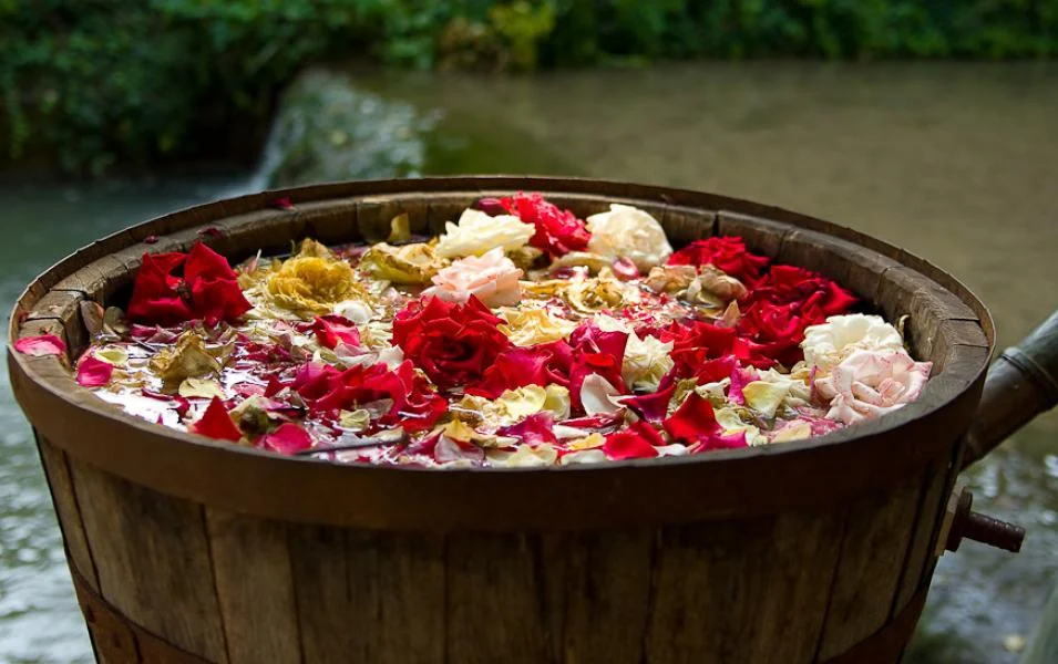Rose: The Ultimate Luxury Oil