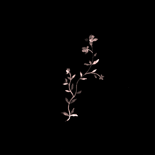 Jasmine as a source of inspiration 