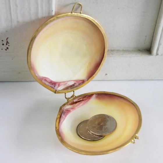 Sea Shell Coin Shell-iciously Creative: 8 Fun and Eco-Friendly Ways to Repurpose Your ...