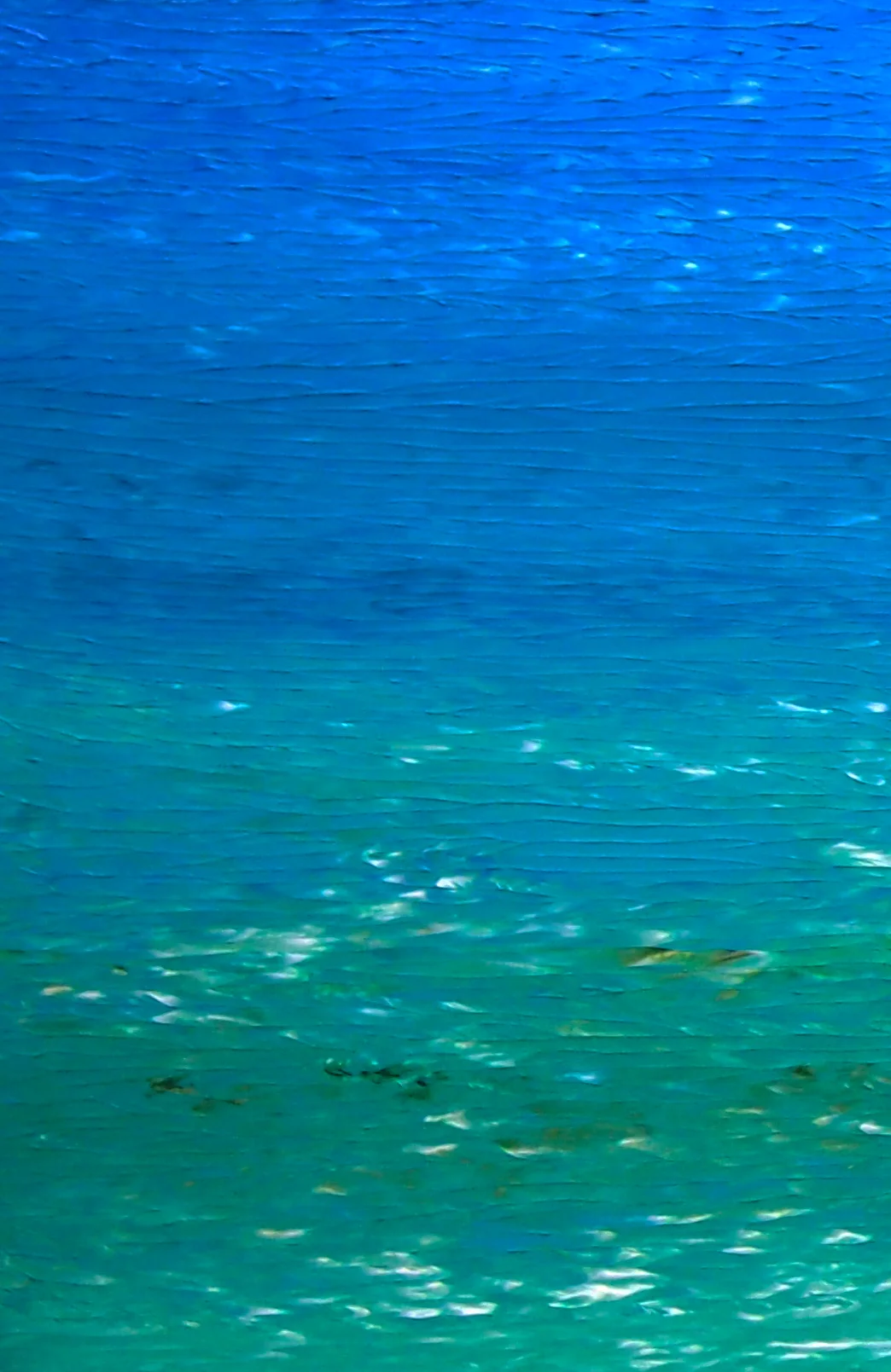 lake of many colours triptych 4 (left)