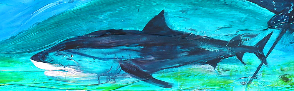 A close-up of the shark on panel five.