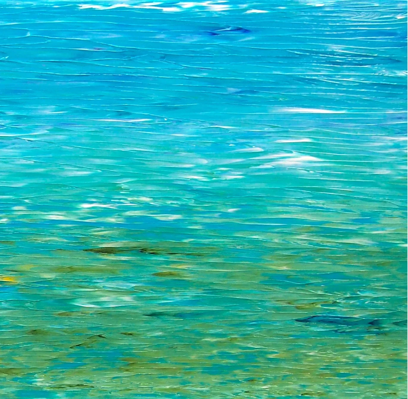 lake of many colours triptych 2 (centre)