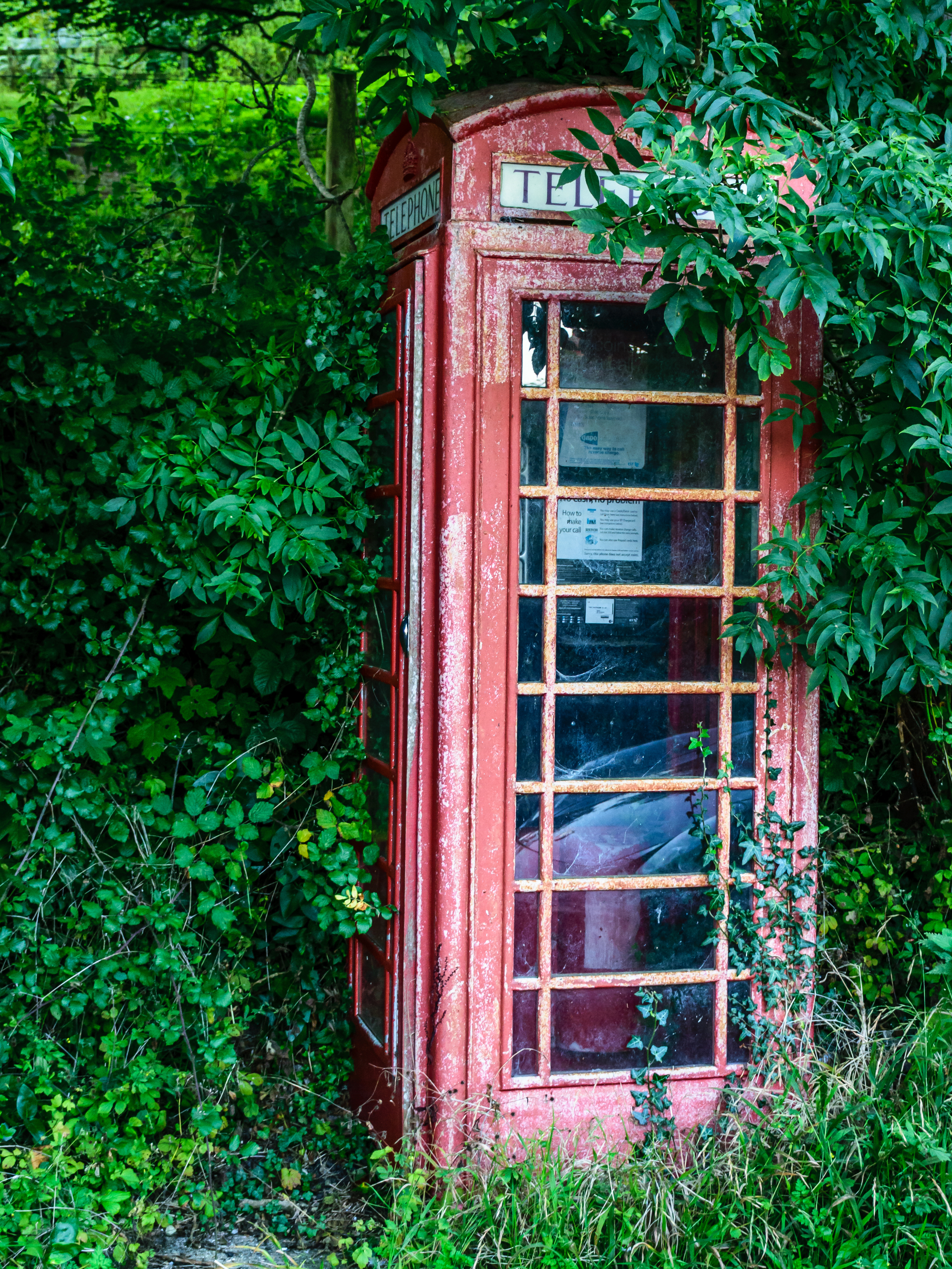  A stroll around Beckford Arms, Wiltshire 