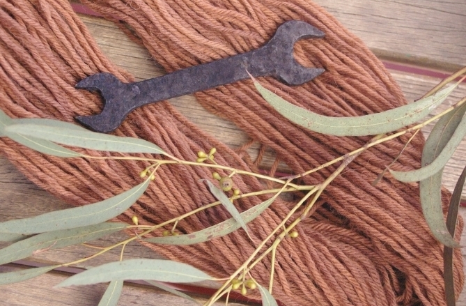 Eucalyptus mannifera and a rusty spanner