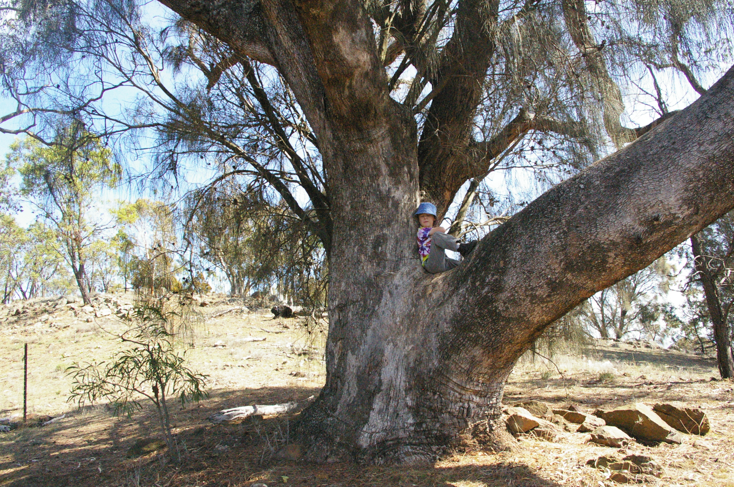  Short kip in the tree before we head for home. 