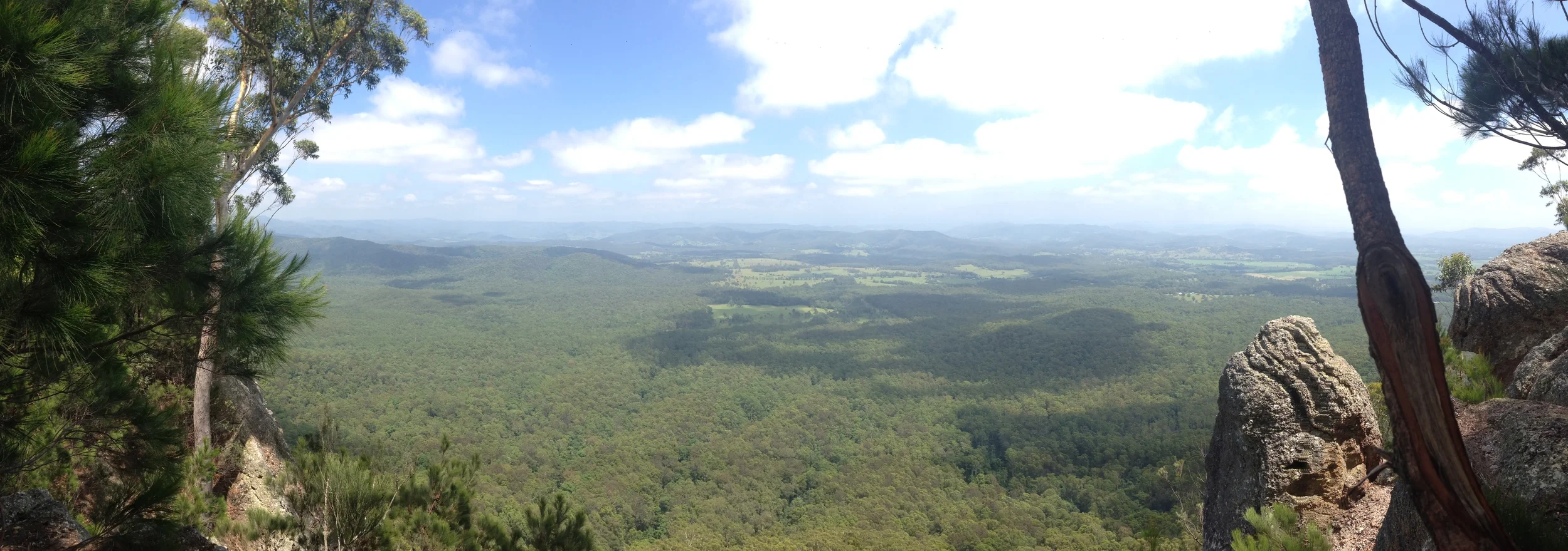 Vista from the Bago Bluff looking towards the Hastings river.