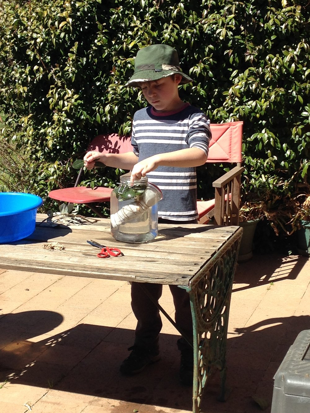 Mr 8 wanted to do some solor dyeing too!