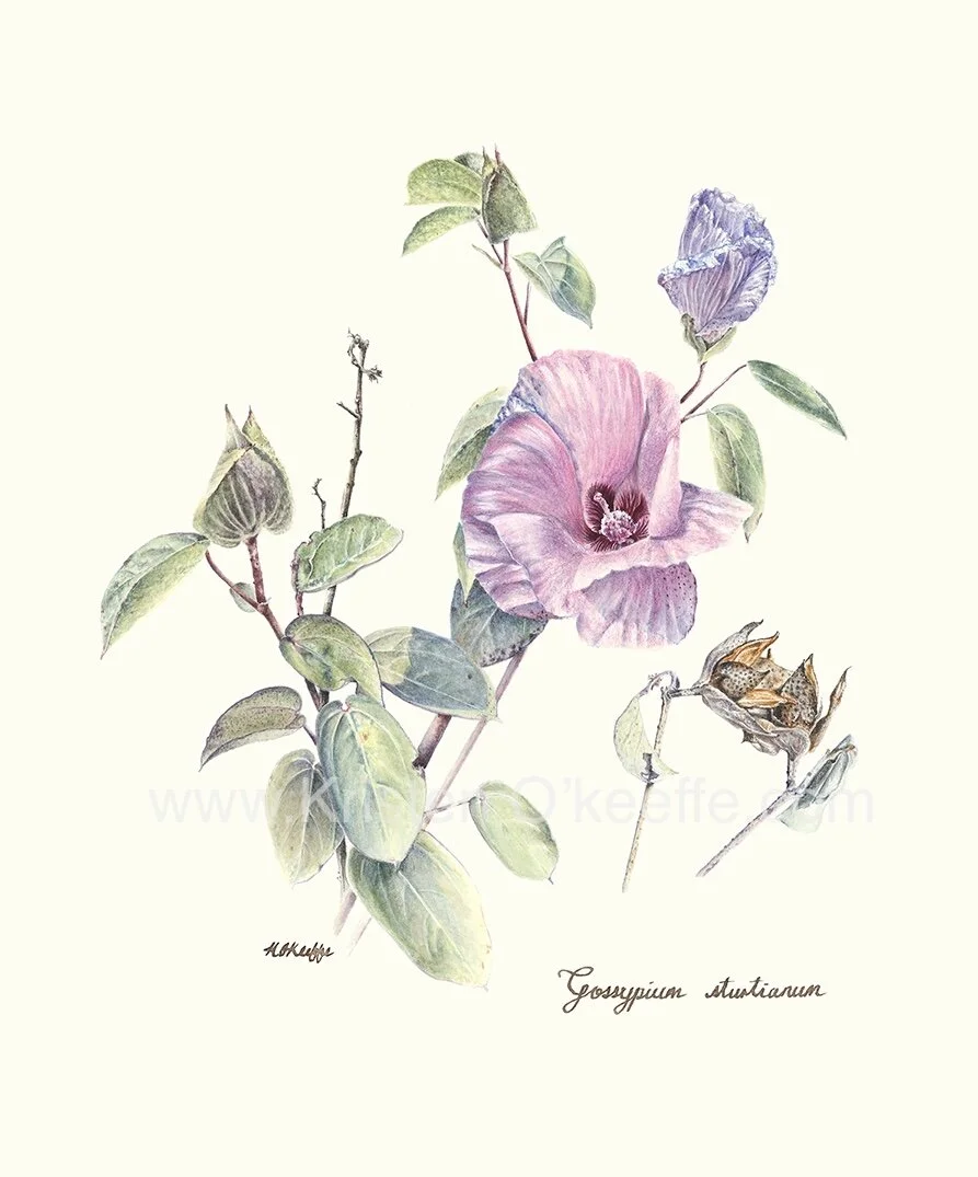 41C09599-6756-4258-B45F-6A51E6167D4B