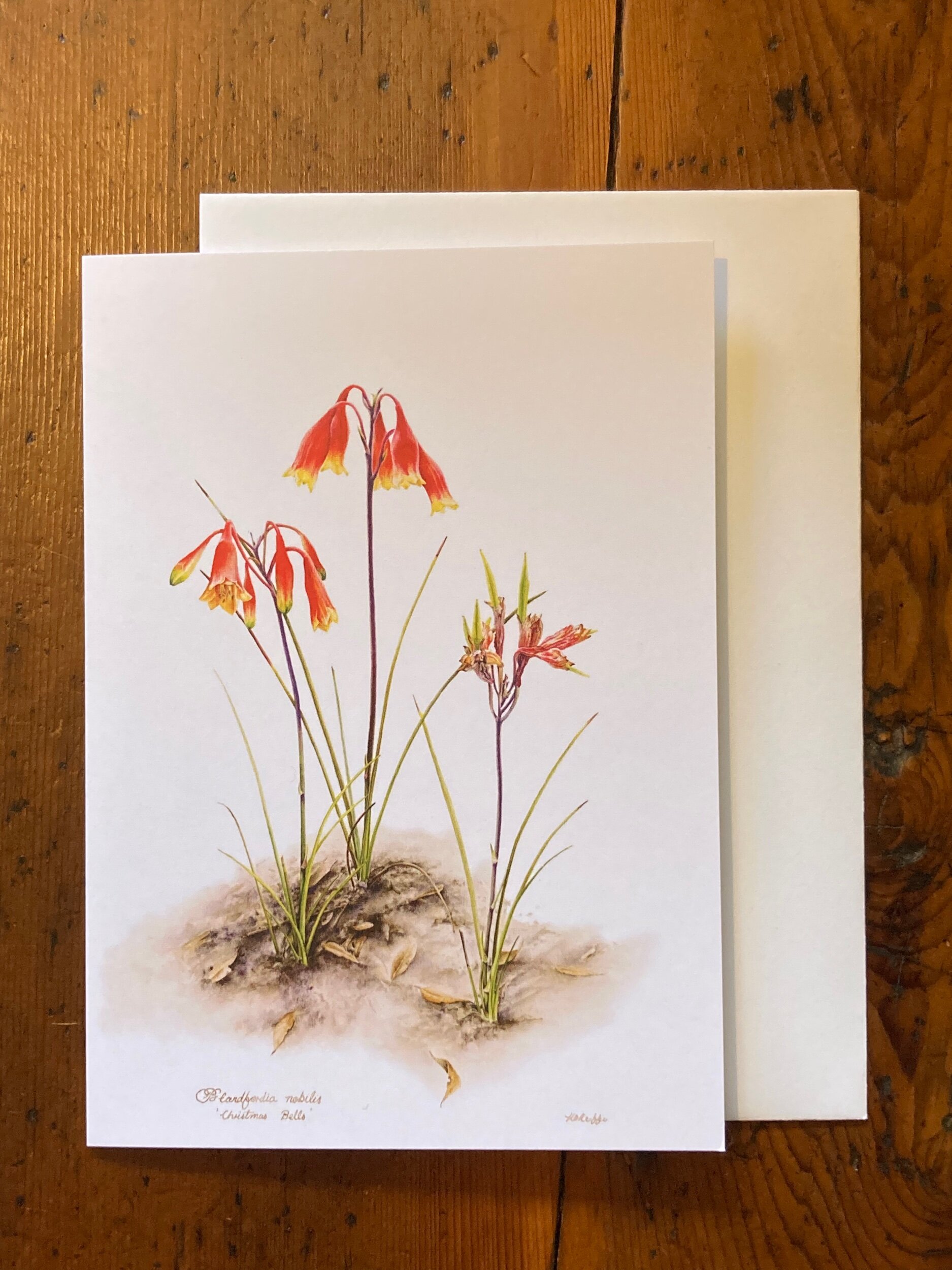 43B3A5AB-8963-4747-A9D8-04683E90EBF4