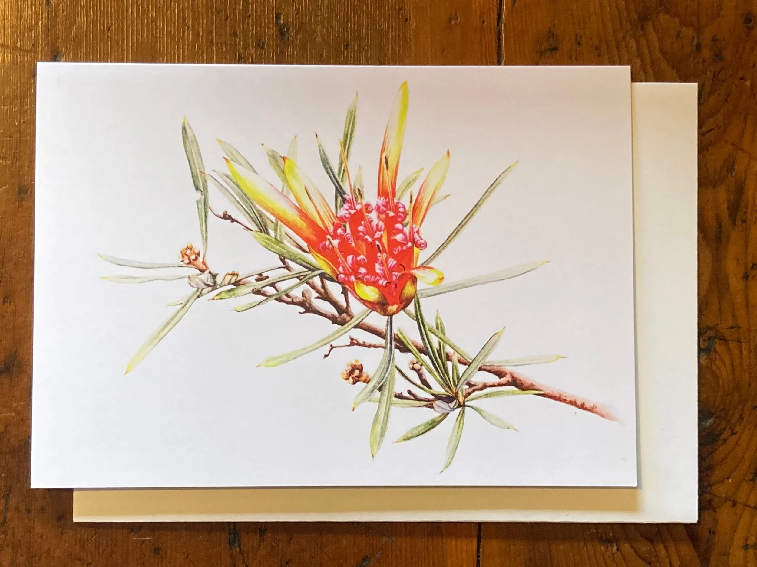 E4C30FFA-E786-4ADA-B8EF-BA1AD2637BE0