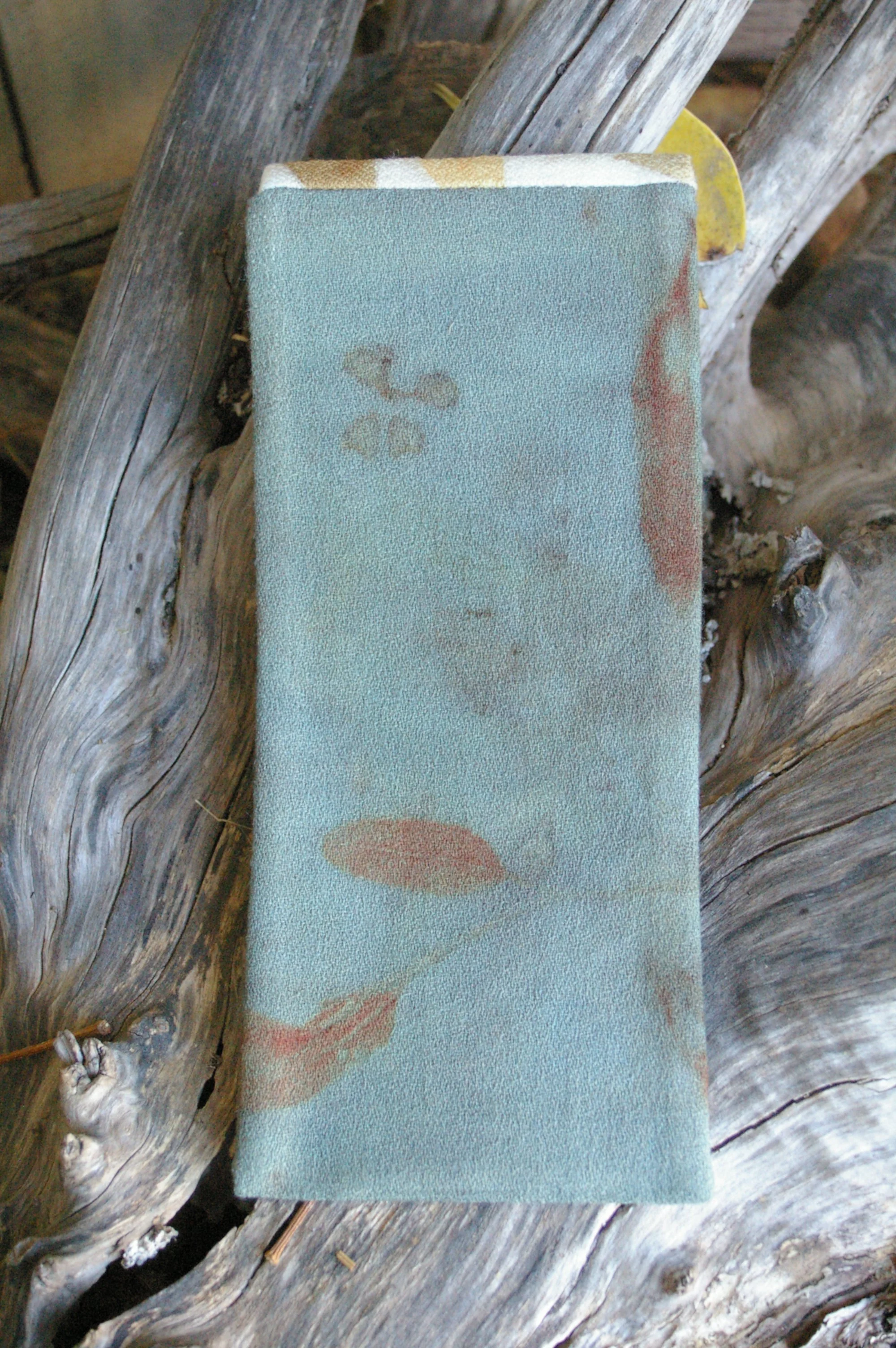 IMGP4748.JPG