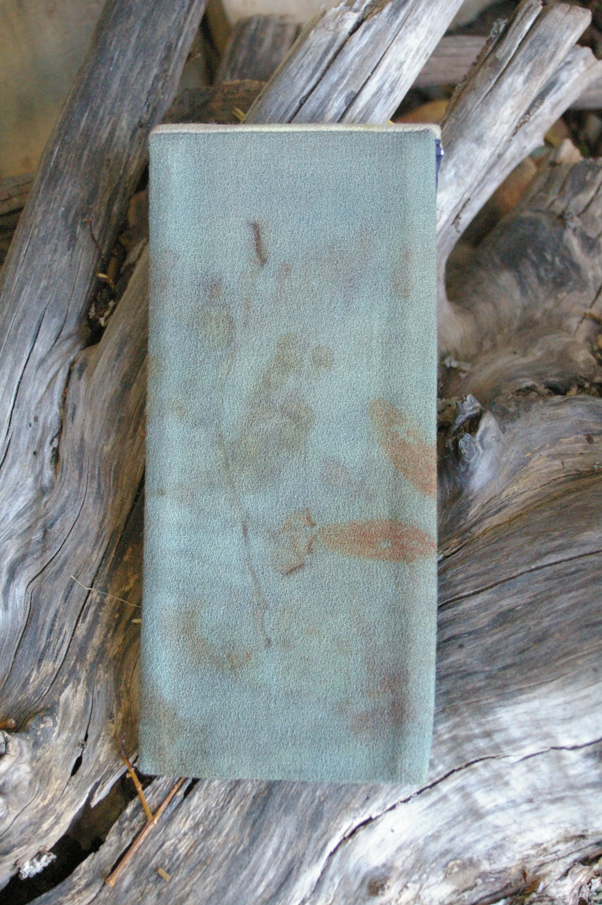 IMGP4745.JPG