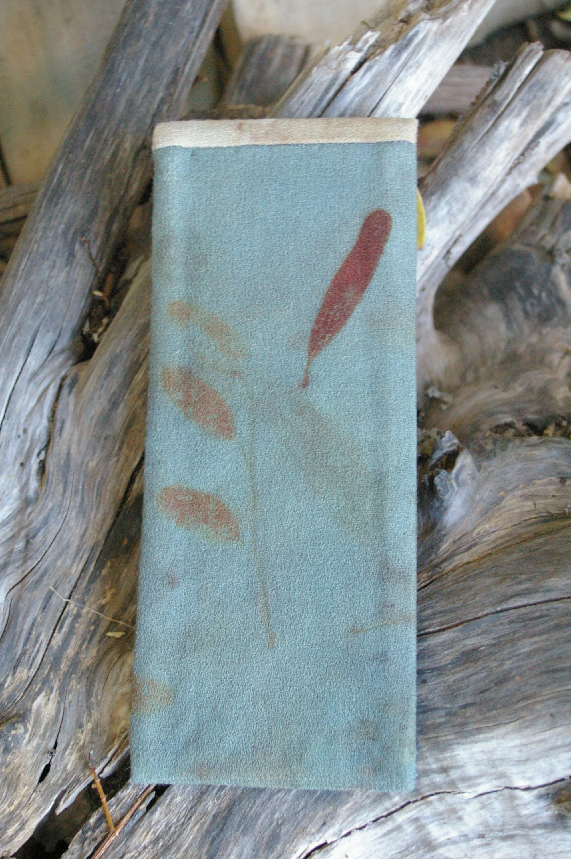 IMGP4742.JPG
