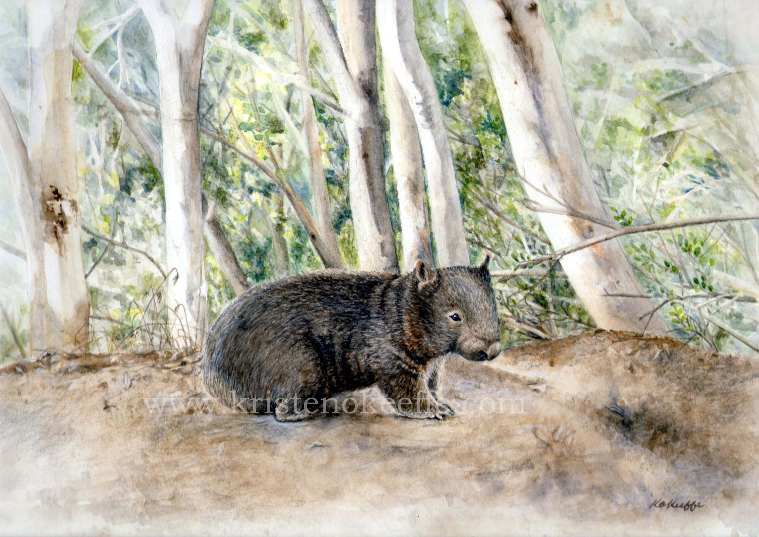 Walwa Wombat (SOLD)