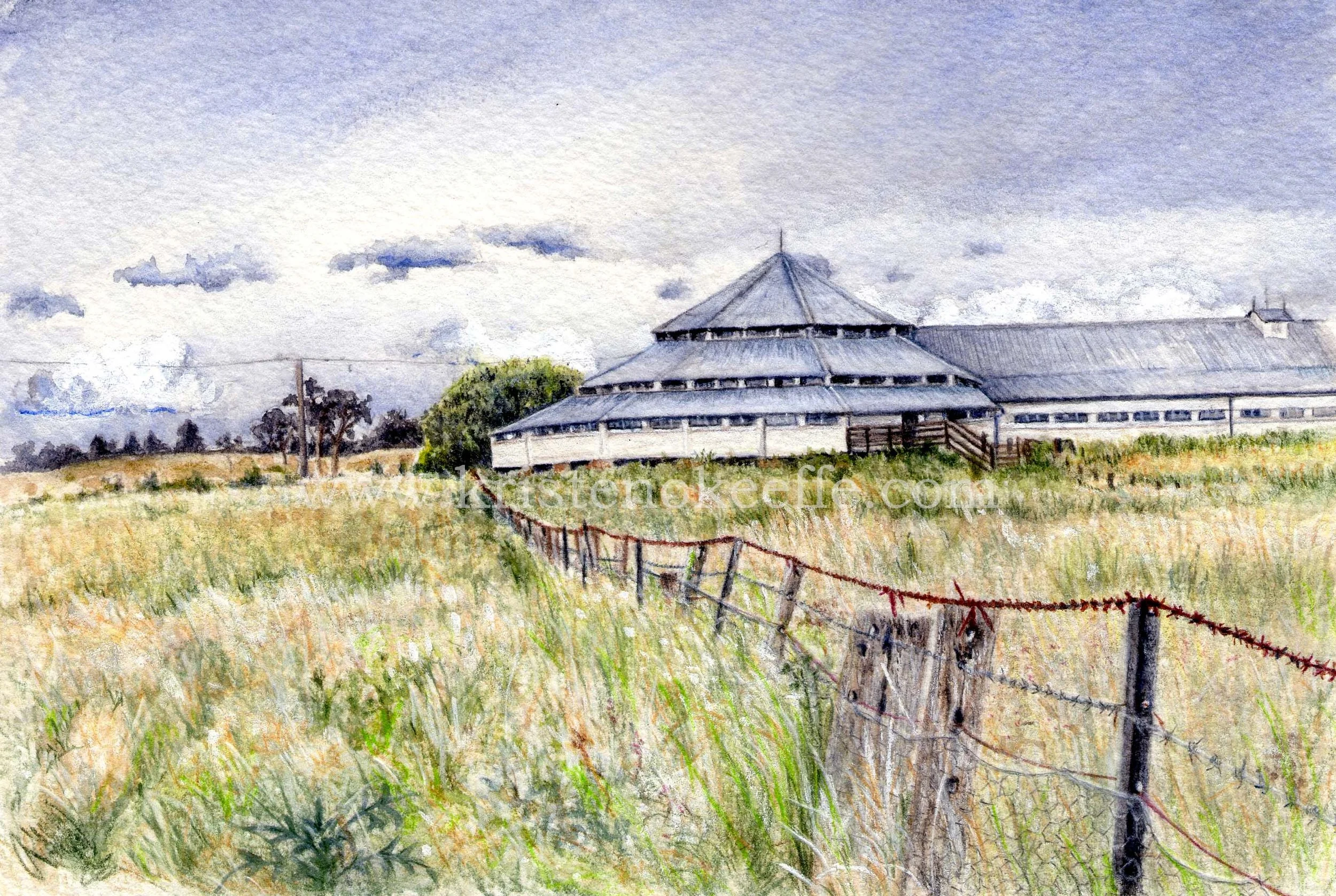 Shearing shed, Gostwyck NSW