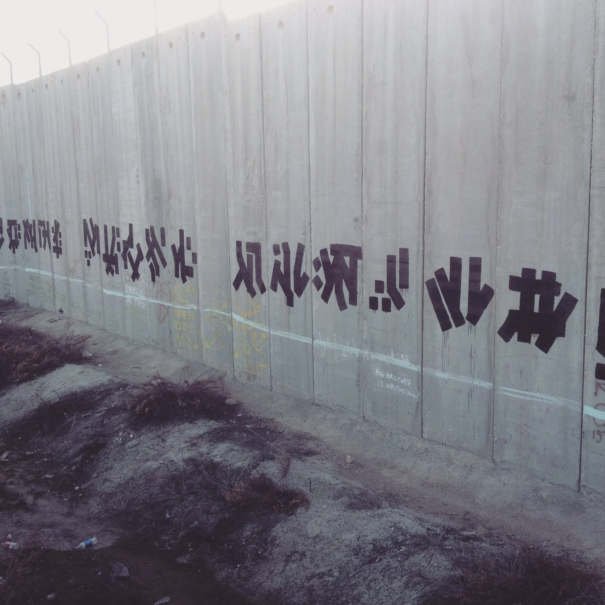  Section of separation wall Bethlehem, West Bank, Palestine 2014 