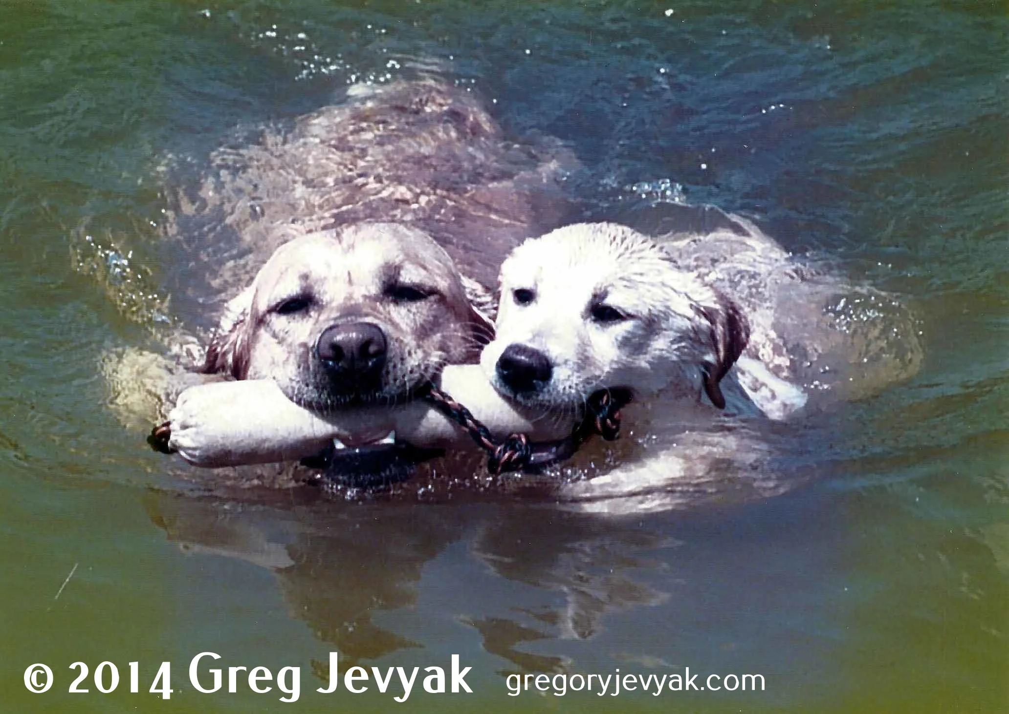 Casey & Abbey