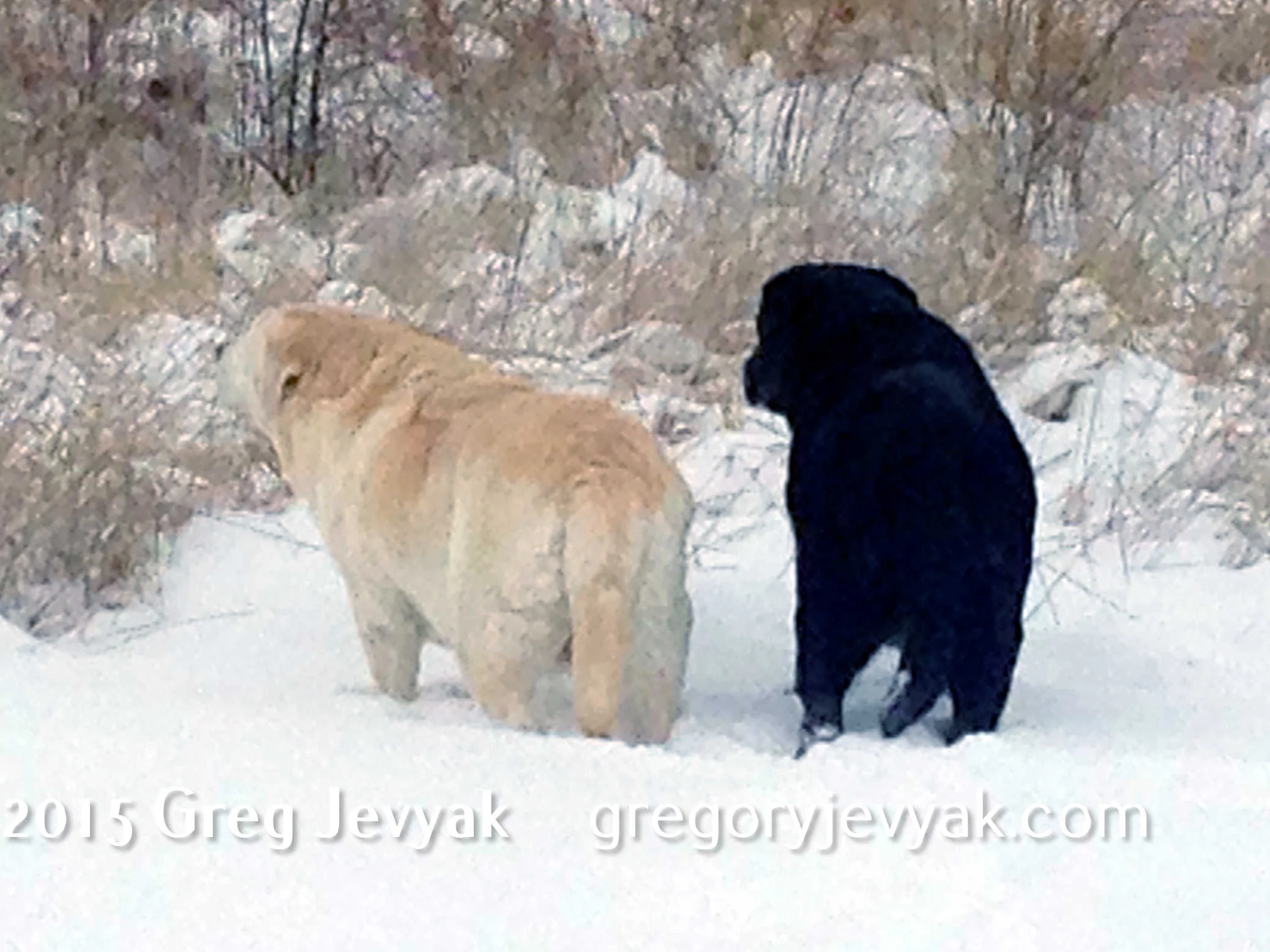 GSJevyak0275.jpg
