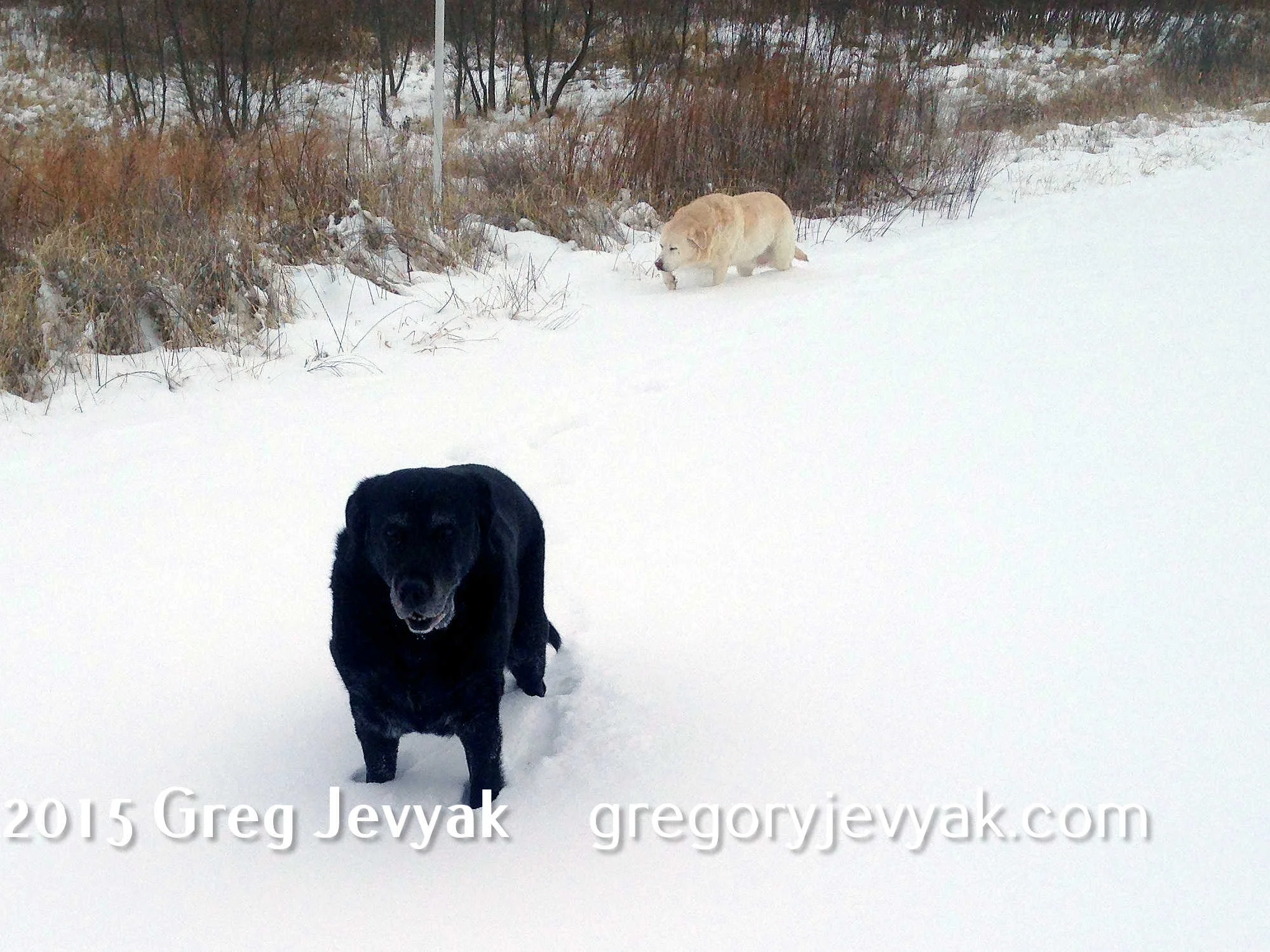 GSJevyak0276.jpg