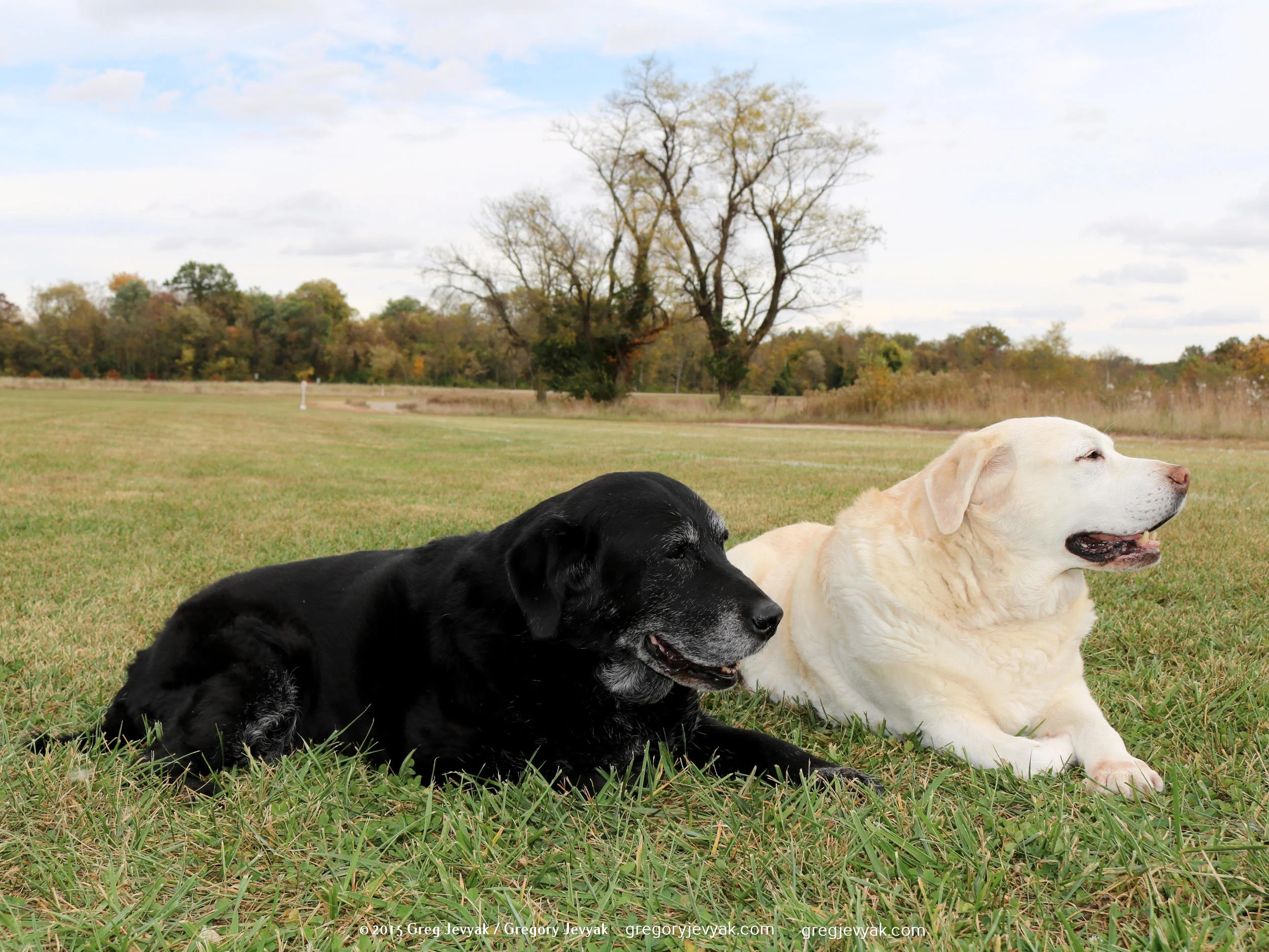 Tess Abbey 10-24-15 down.jpg