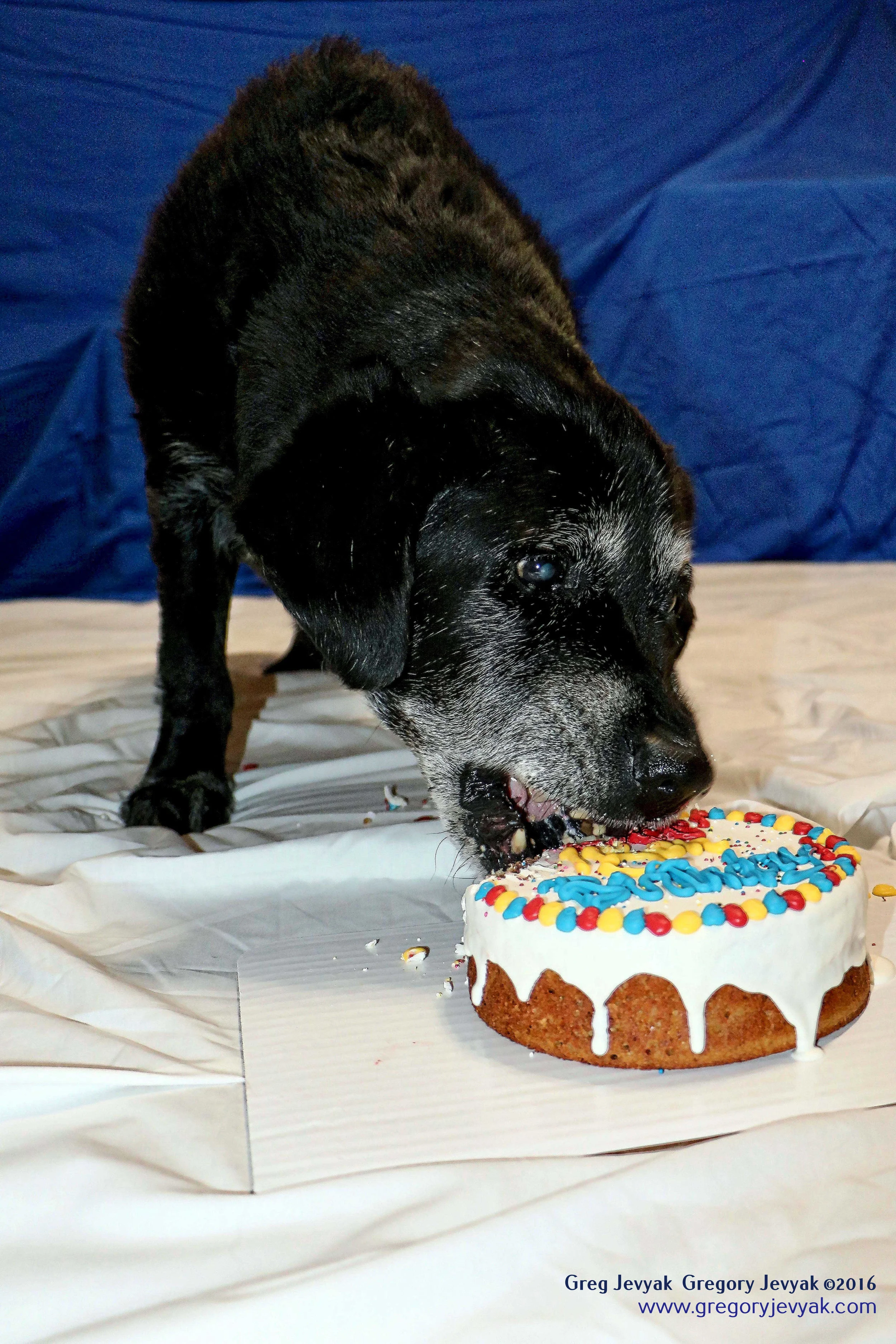 Tess15thBday_2_c.jpegWeb.jpg