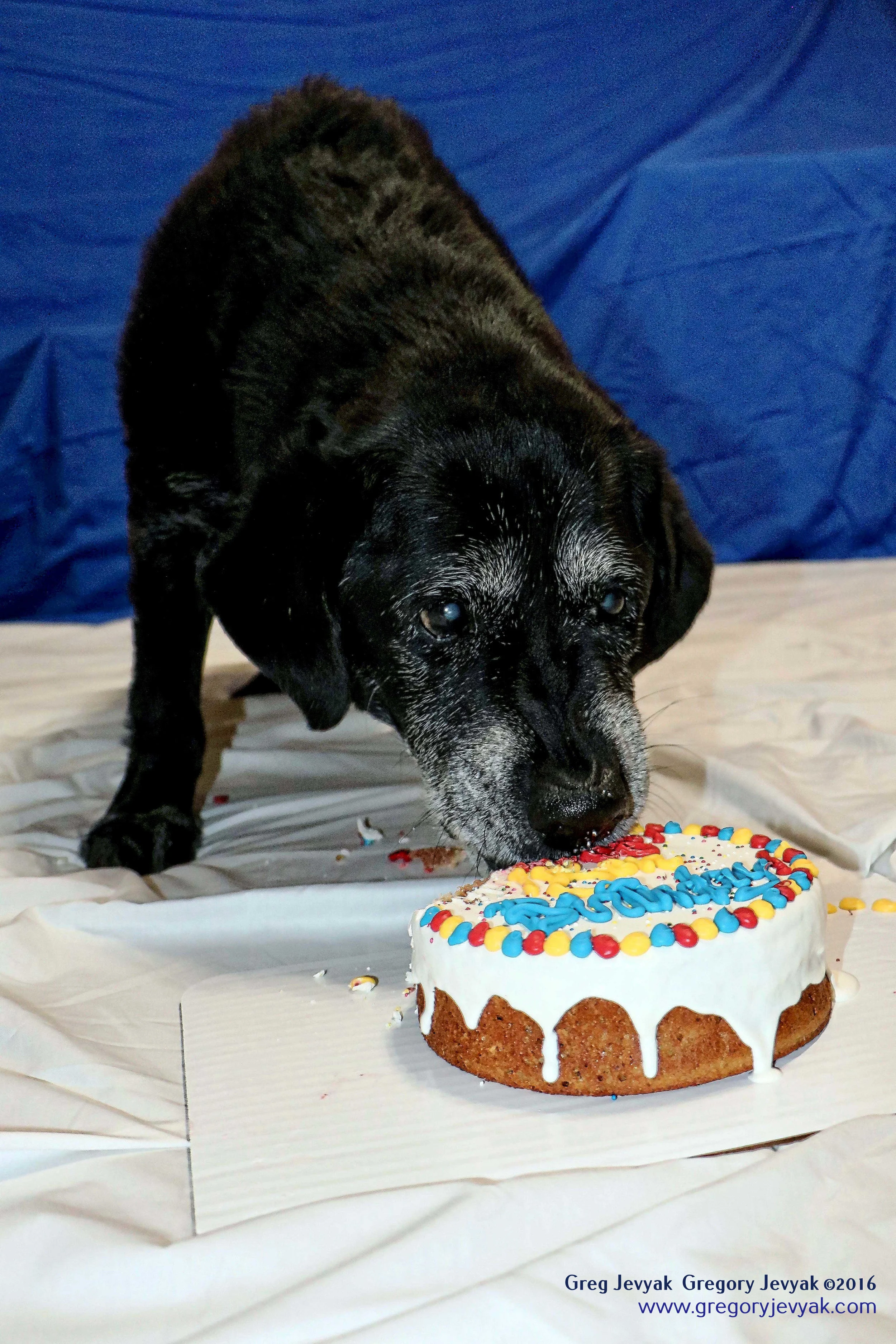 Tess15thBday_1_b.jpegWeb.jpg