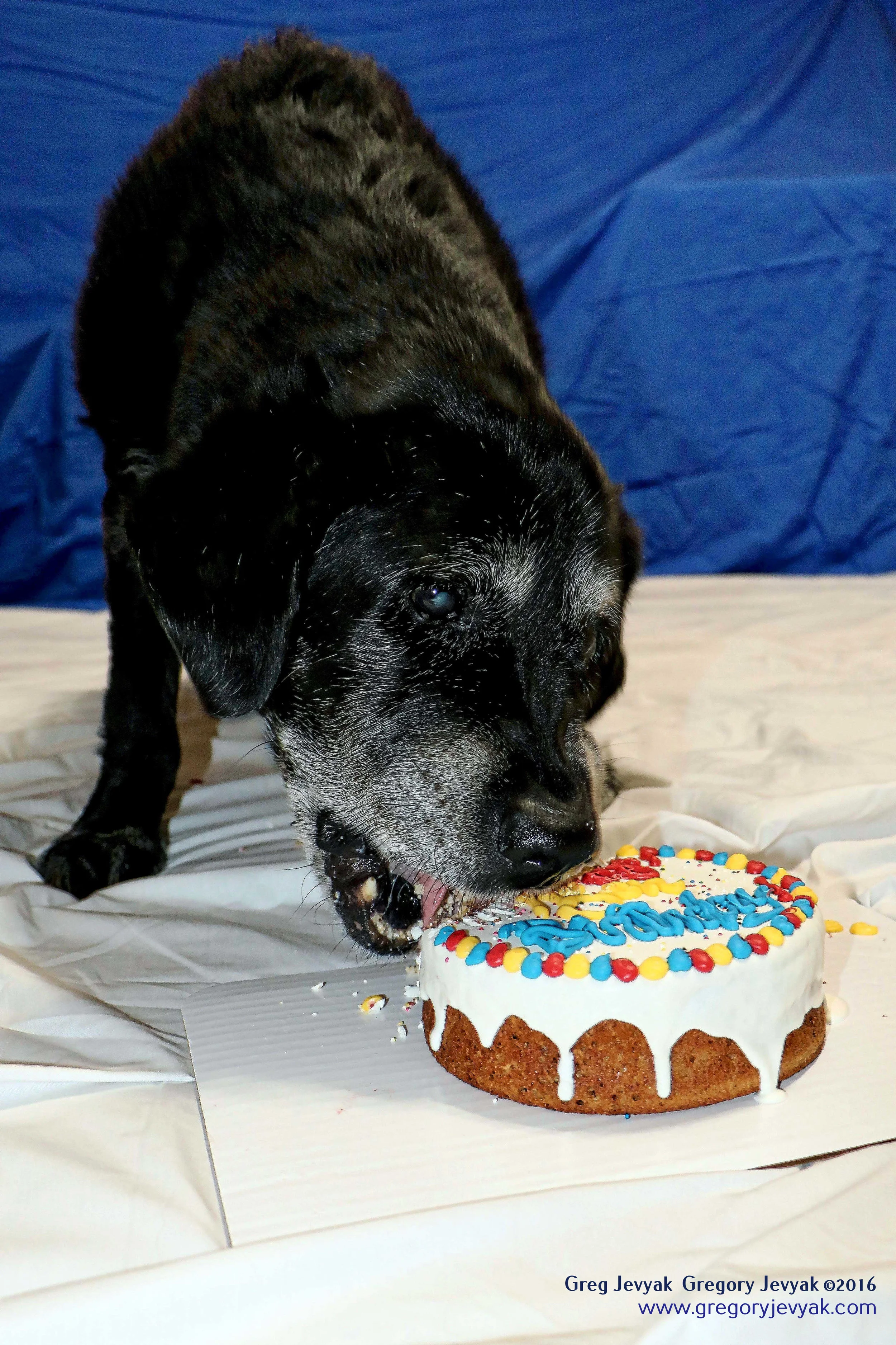 Tess15thBday_3_d.jpegWeb.jpg
