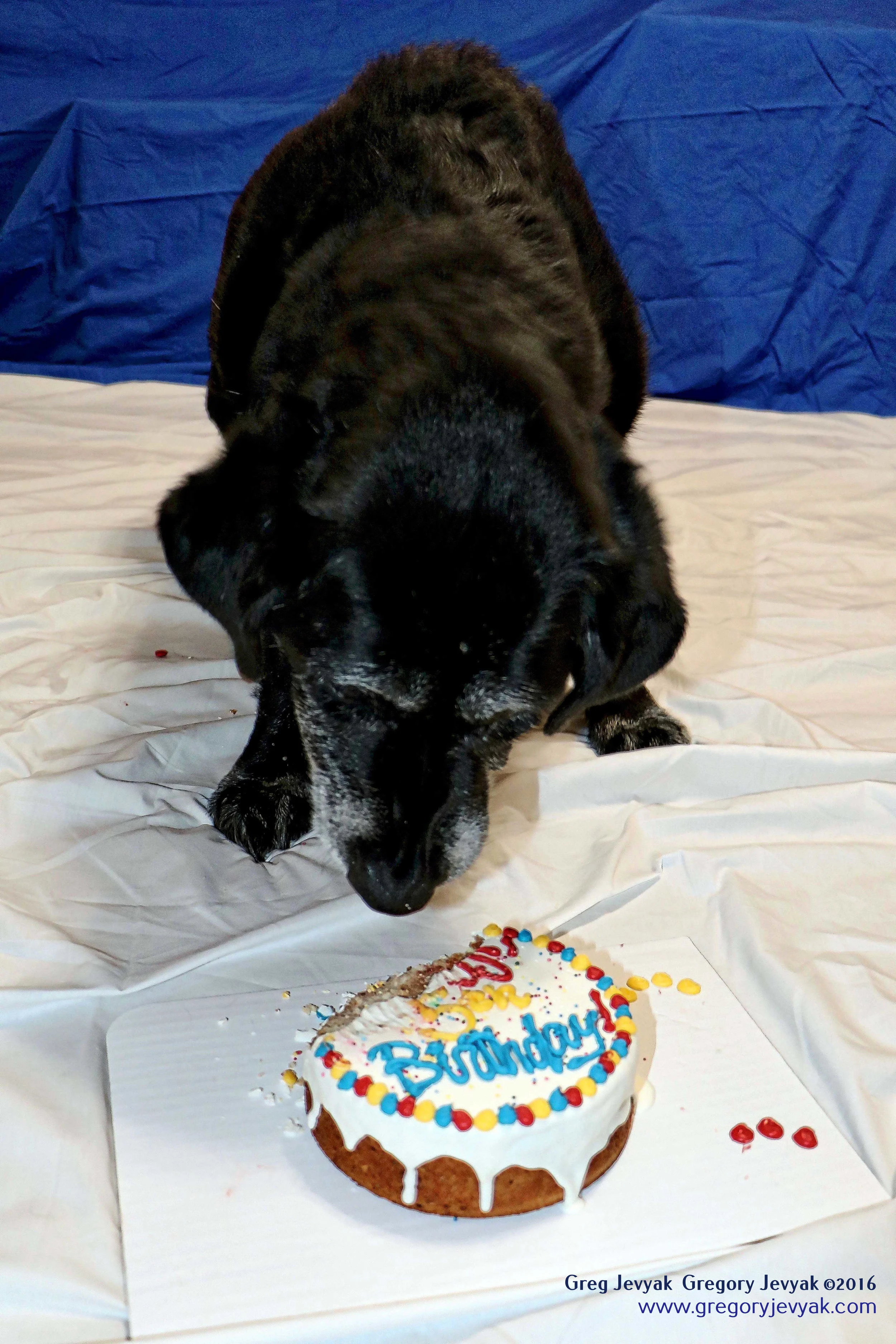 Tess15thBday_5_f.jpegWeb.jpg