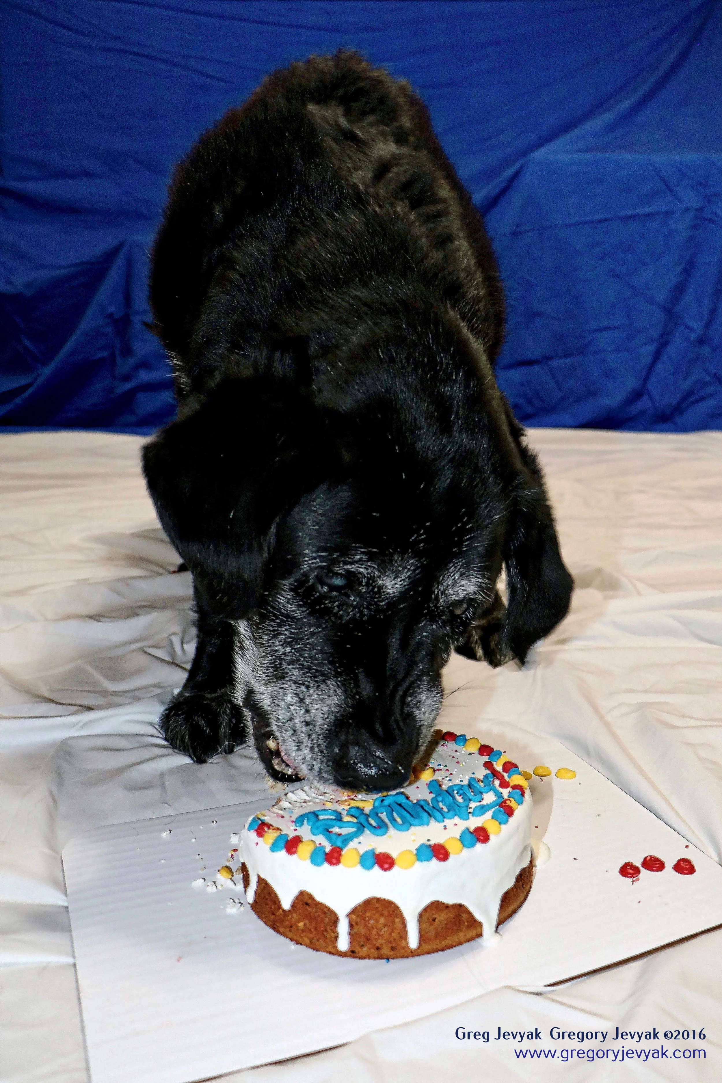 Tess15thBday_7_h.jpegWeb.jpg