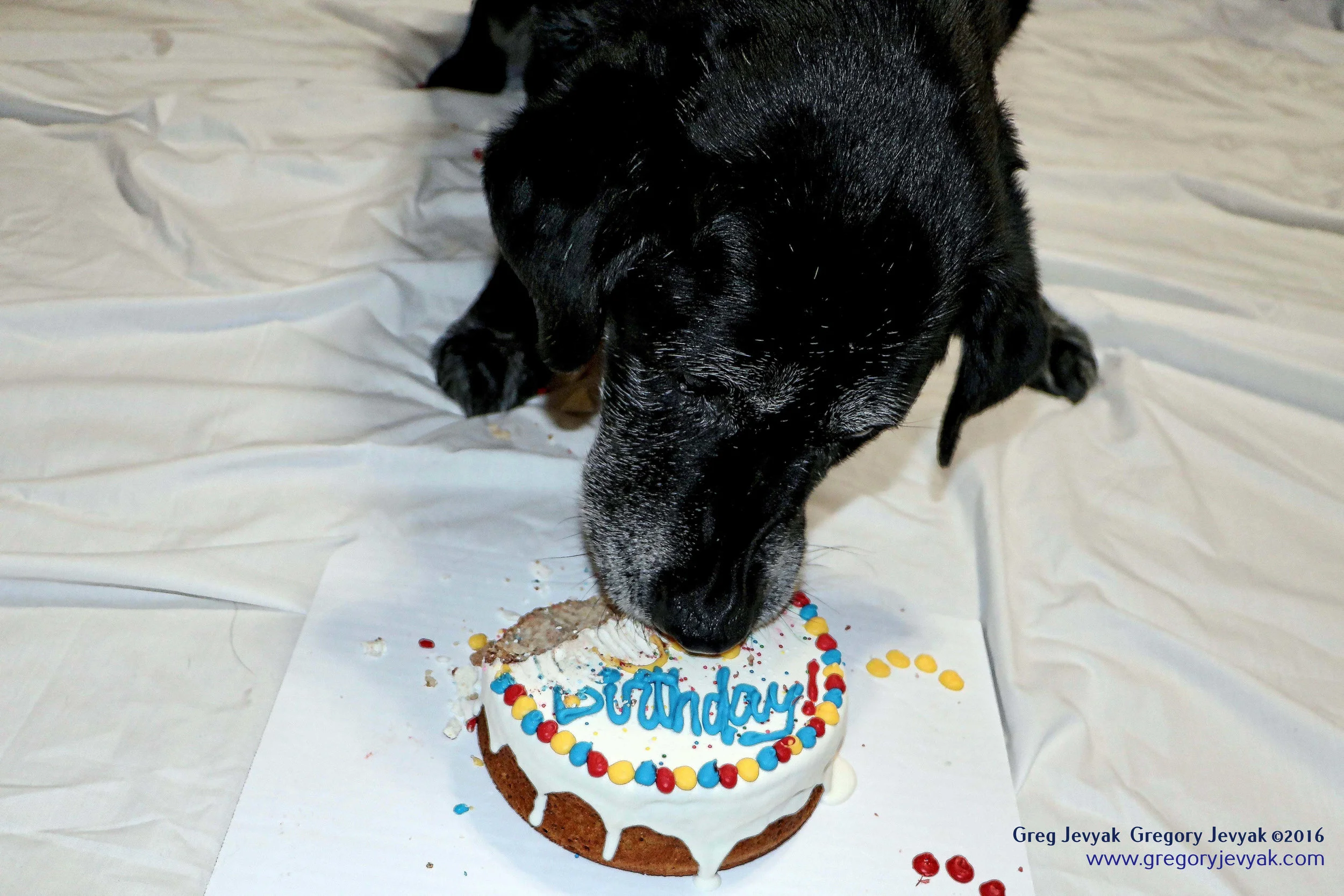 Tess15thBday_8_i.jpegWeb.jpg