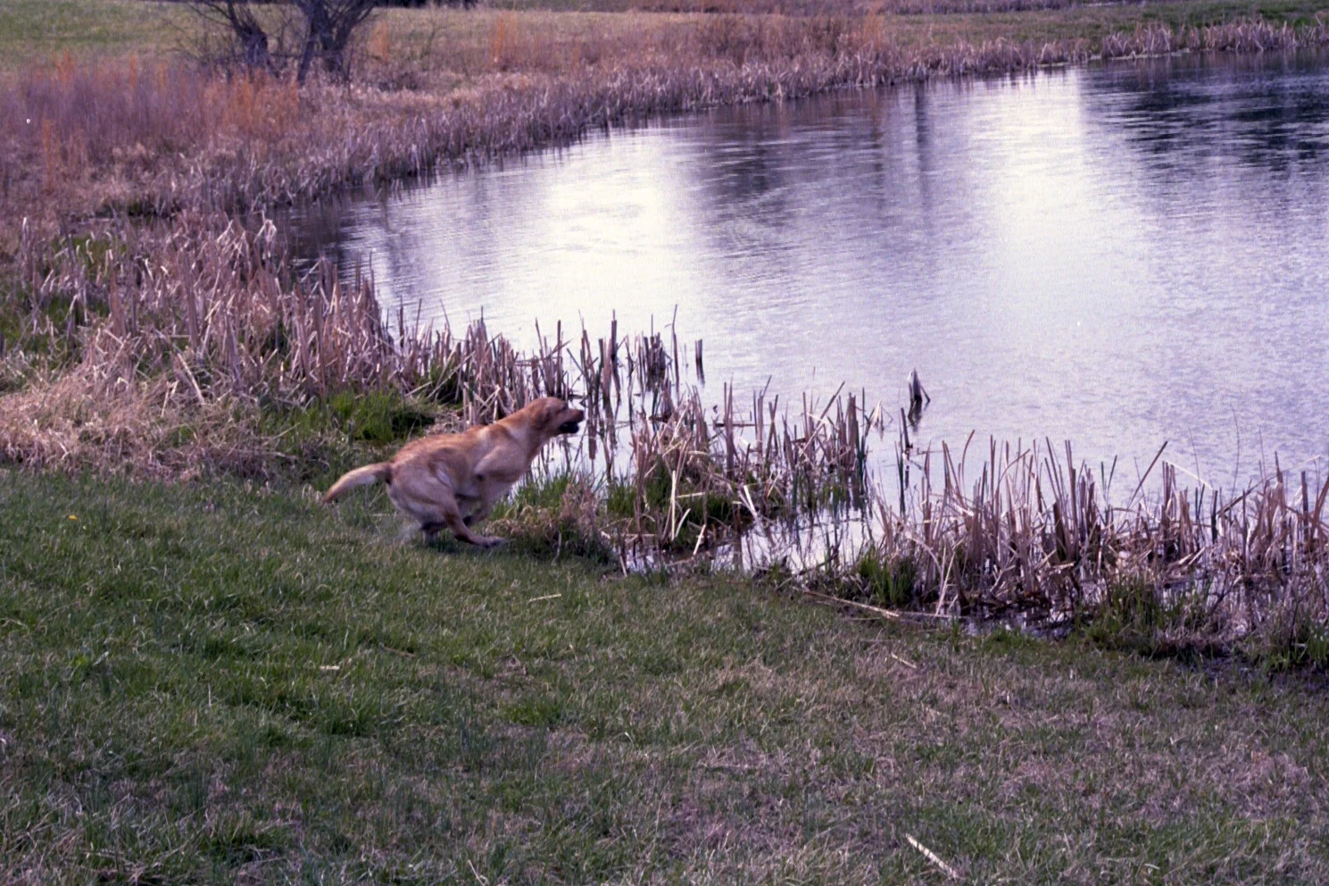 2-025_25 copy.JPG