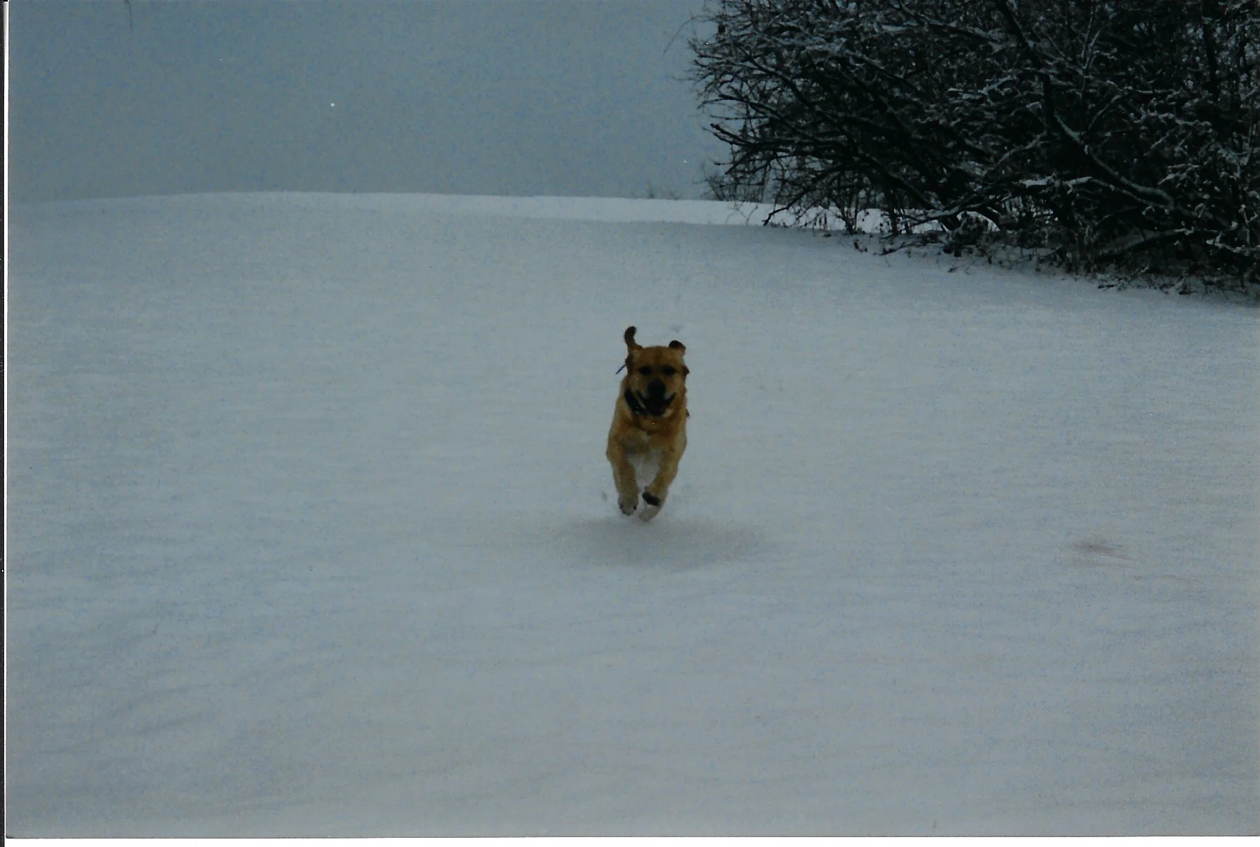 Casey 1-19-02.jpeg