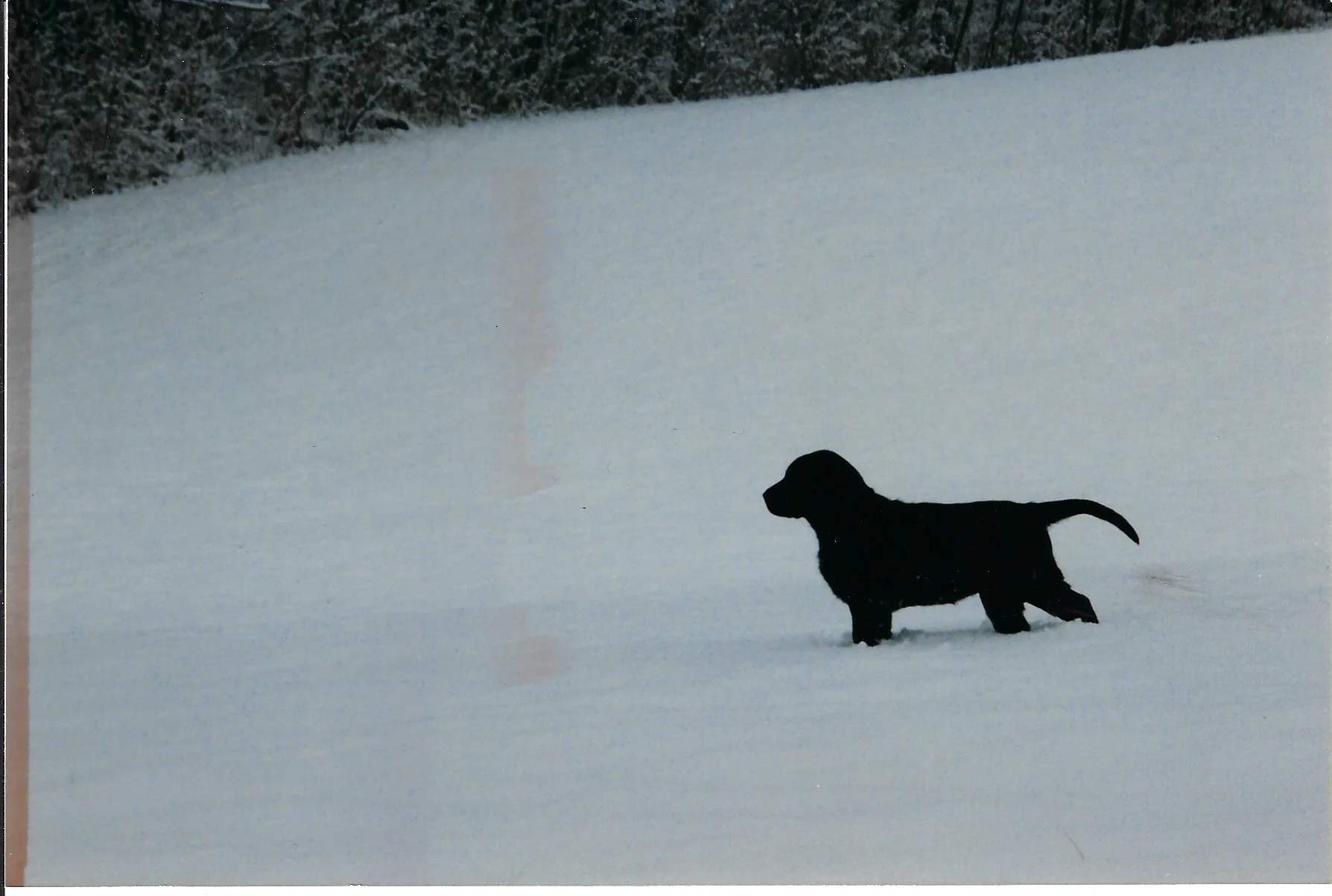 Tess 1-19-02.jpeg