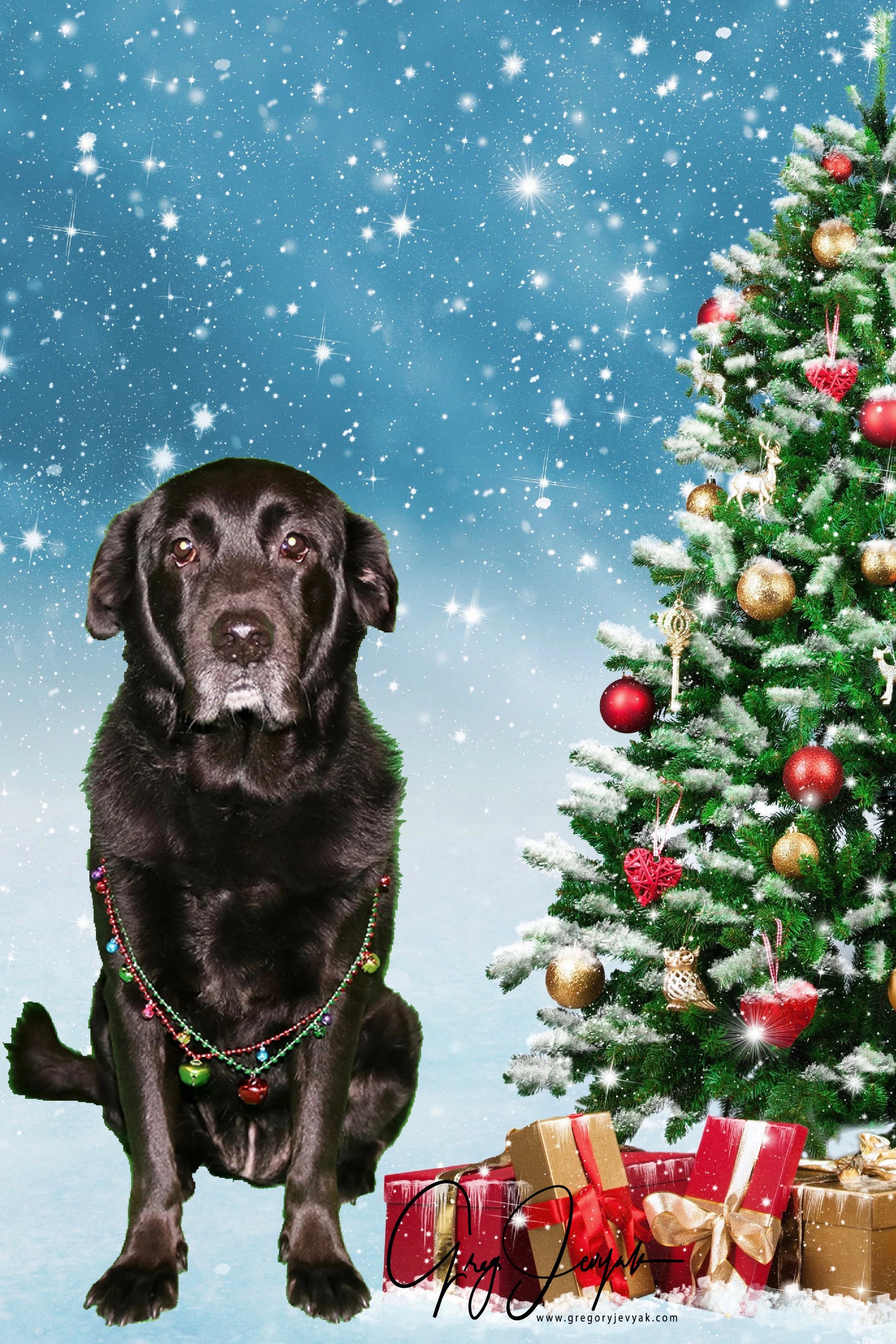 CadyChristmasTree2017 3x2edit copy-1513550737268.jpg