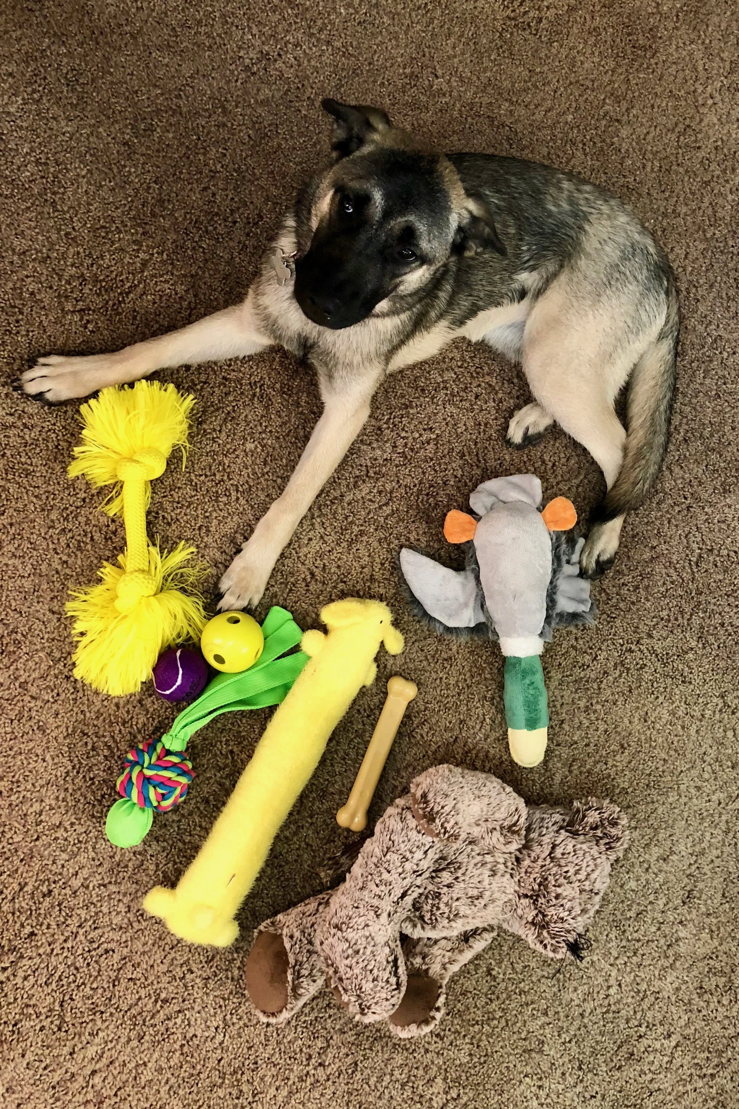 spoiled.jpg