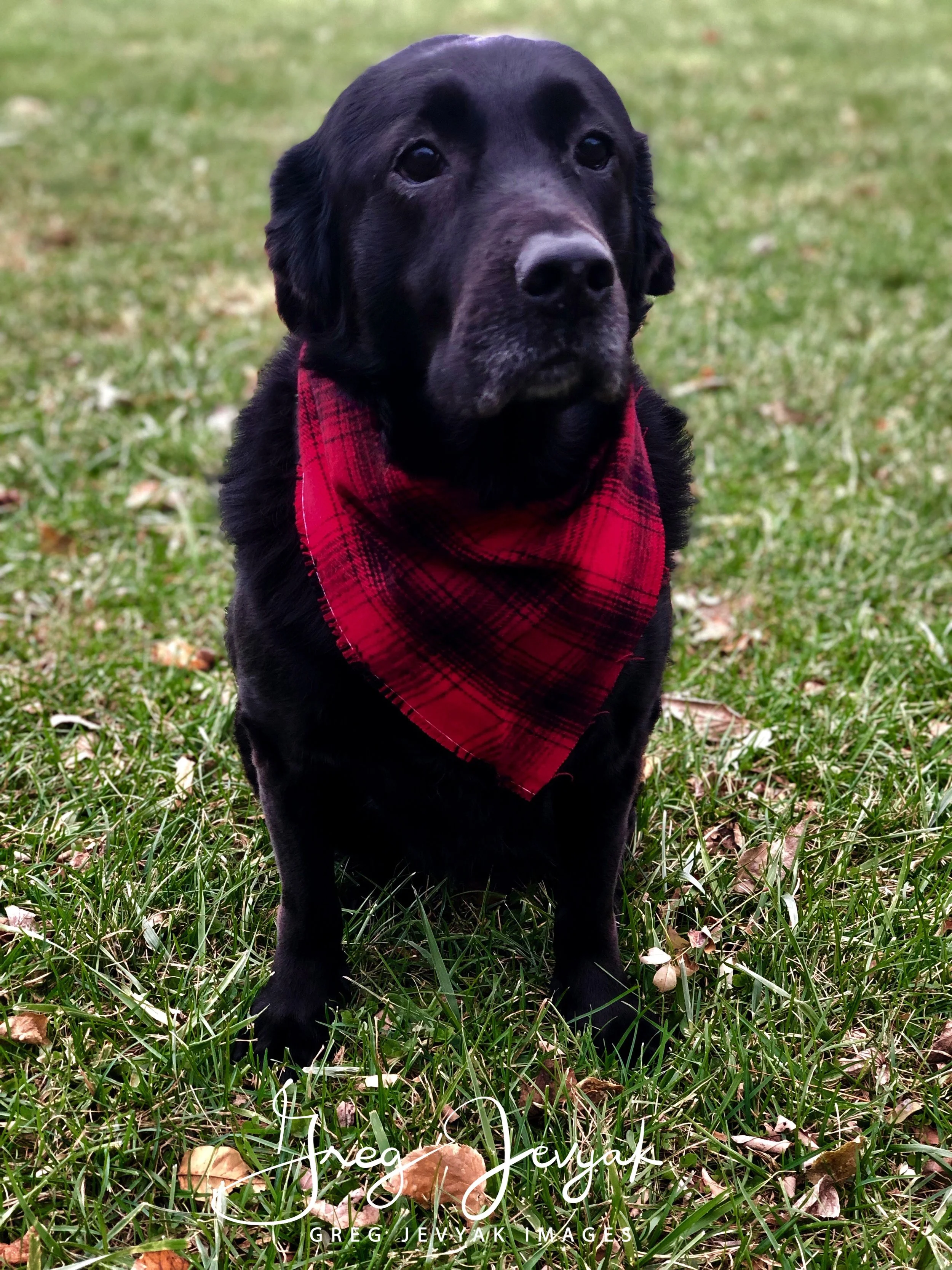 Cady IMG_1119 edit-1541975623832.jpeg