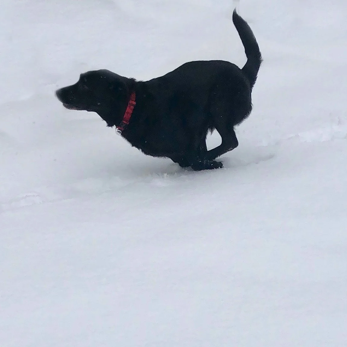 cady snow 1.jpeg